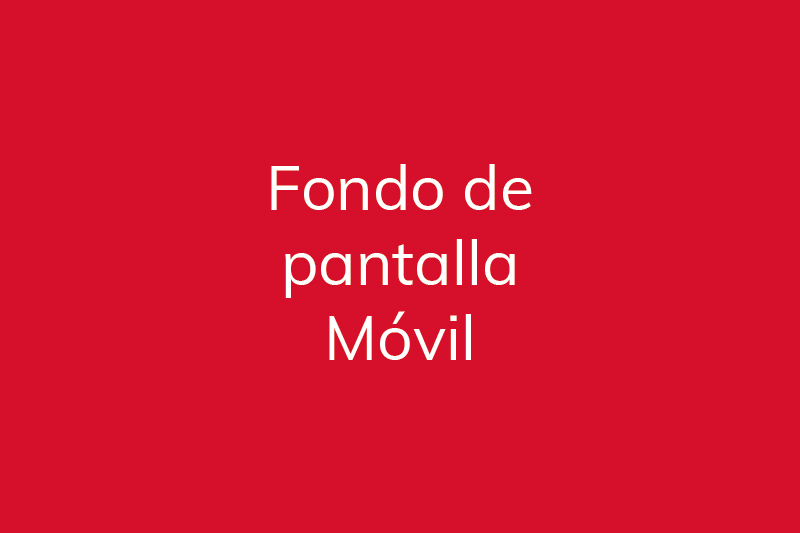 movil_Mesa de trabajo 1