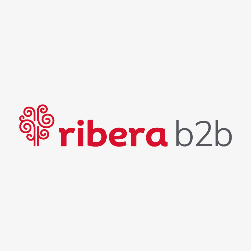 b2b_Mesa de trabajo 1