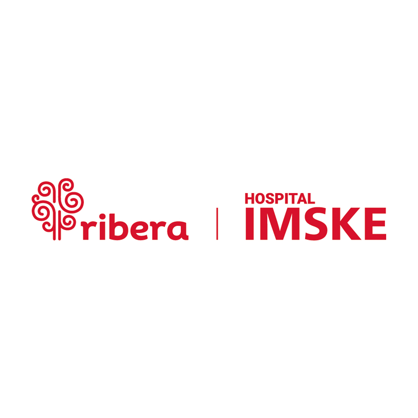 Logotipo IMSKE Ribera
